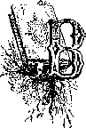 В